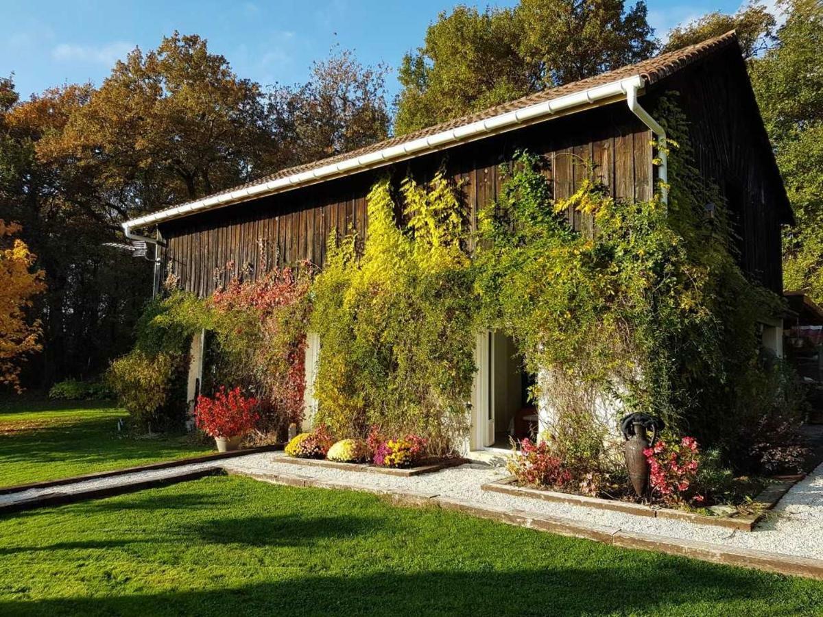 Gîte Pigerot Lucbardez-et-Bargues Exterior foto